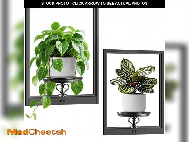 Lot 74-12122659 - VEILS Wall Planters for Indoor Plants, 3D Floating Wall Mounted Shelf for Home Decor, Black Frame Pl...