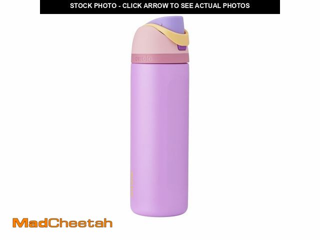 Lot 74-13953104 - Owala Disney Princess FreeSip Insulated Stainless Steel Water Bottle with Straw for Sports and Trave...