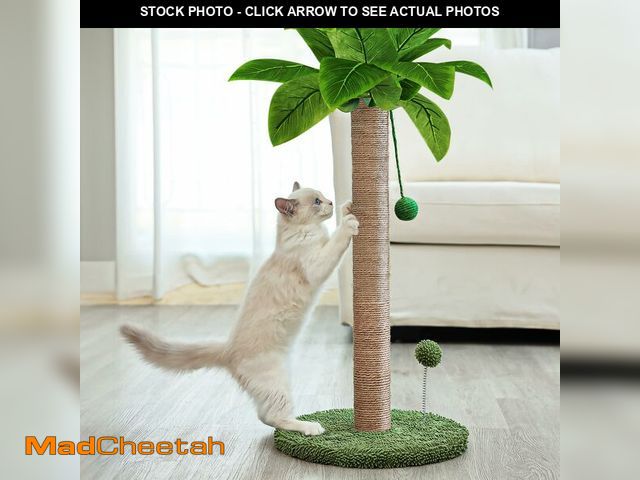 Lot 74-12435203 - Dohump Cat Scratching Post, 26" Kitten Scratching Post with Premium Sisal Rope, Cute Cat Tree with D...