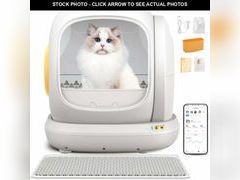 Lot 74-12670323 - undefined