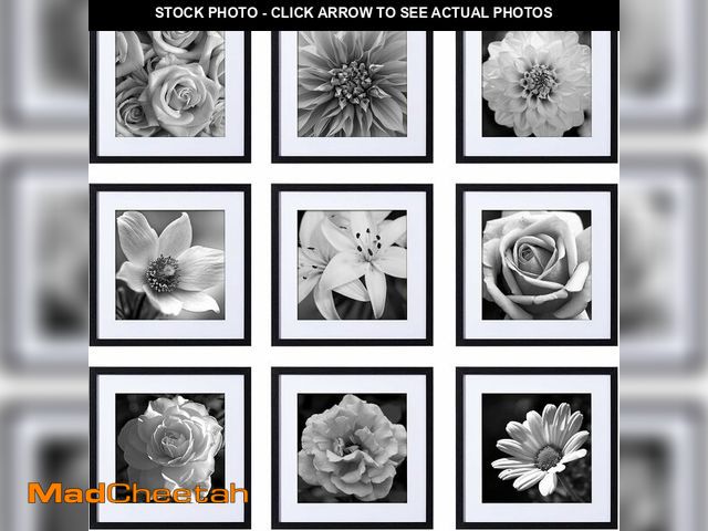 Lot 74-13709532 - eletecpro 20x20 Picture Frames Set of 9 Classic Gallery Wall Frame Set, Displays 16x16 or 20x20 with...