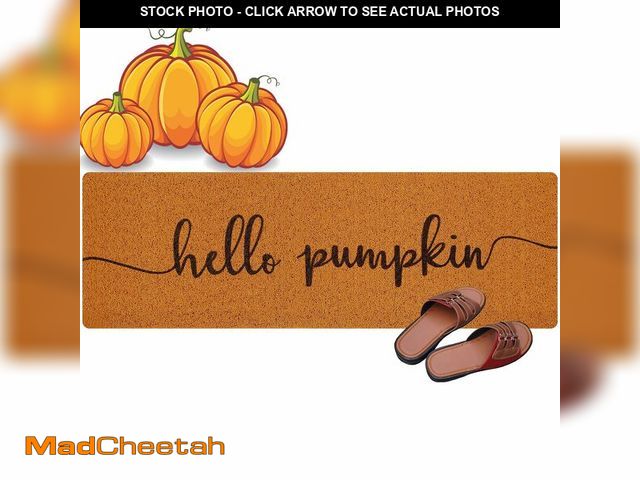 Lot 74-12605958 - Ninehaoou Long Doormat 48''x16'' Front Door Mat for Entrance Inside Outdoor Large Decorative Door Ru...