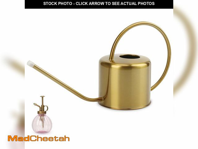 Lot 74-13547726 - Remiawy Watering Can Indoor Outdoor Stainless Steel Watering Cans for House Plants Long Spout Water ...