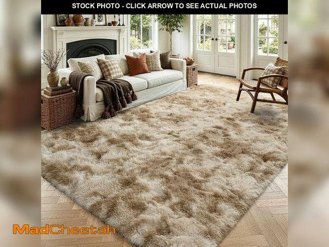 Lot 74-13584113 - Noahas Large Fluffy 5x8 Area Rugs for Living Room Bedroom,Tie-Dyed Beige Thick Shag Throw Rug,Big So...