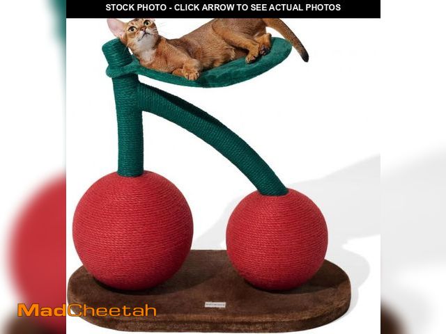 Lot 74-12167965 - VETRESKA Cat Scratching Post, Large Cherry Cat Scratcher with Hammock, Tall Cat Scratch Interactive ...