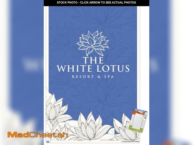 Lot 74-12141432 - (DAMAGE TO FRAME) Trends International The White Lotus - White and Blue Logo Wall Poster, 34L x 22.4...