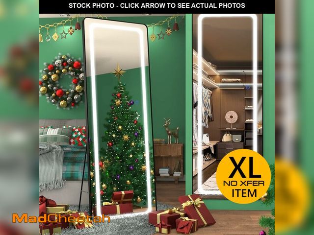 Lot 74-13074523 - FENNIO Full Length Mirror with Lights 63"x22", LED Full Body Mirror, Free Standing Lighted Floor Mir...