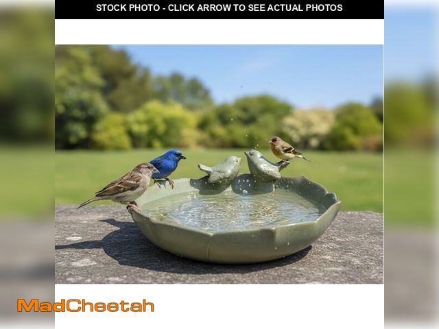 Lot 74-14149576 - Large Ceramic Bird Bath Bowl Only, 10" Shallow Ground Bird Bath, Handmade Ceramic Birdbath Bowl for ...