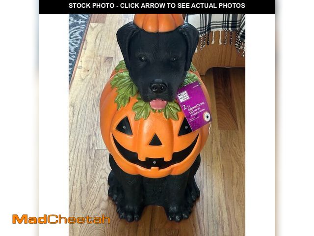 Lot 74-12765085 - (MISSING BATTERIES) Home Accents Holiday 2.5 ft LED Labrador in Pumpkin Costume - USED