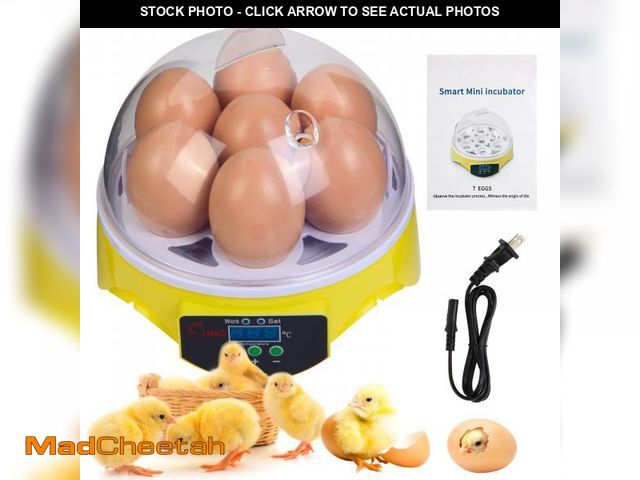Lot 74-12312028 - Quail Eggs with Automatic Turner and Humidity Control, Small Quail Brooder, Outdoor Poultry Egg Incu...