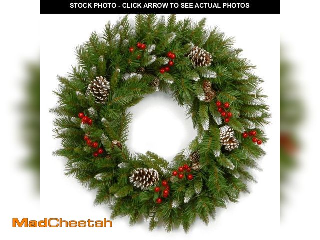 Lot 74-13051733 - National Tree Company Frosted Berry 24 in. Artificial Wreath - UNUSED