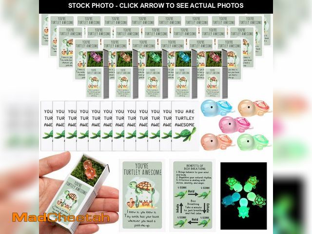 Lot 74-12979870 - Wonderjune 72 Sets Employee Appreciation Gifts Positive Support Pocket Hug Mini Resin Turtle Bulk wi...