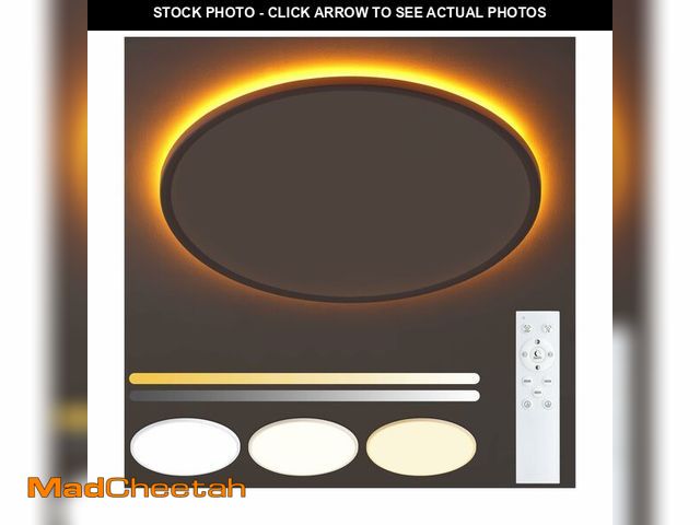 Lot 74-14054027 - UprizeP Flush Mount Ceiling Light with Night Light, 15in LED Ceiling Lights with Remote Control, 180...