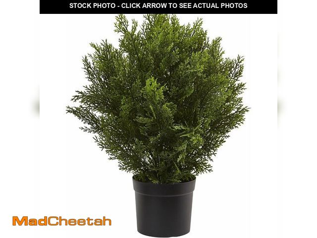 Lot 74-13836176 - Nearly Natural 2ft Artificial Cedar Bush, Faux Greenery For Indoor Outdoor Home Decor - UNUSED