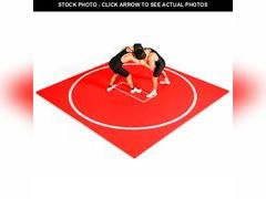 Lot 74-12660253 - undefined