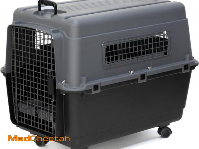 Lot 74-12097433 - SportPet Designs Plastic Airline Approved Kennels Wire Door Travel Dog Crate, Large - UNUSED