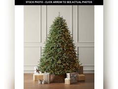 Lot 74-12826789 - undefined