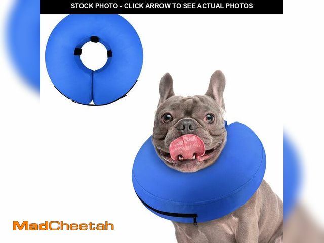 Lot 74-14153390 - Supet Inflatable Dog Cone Collar for Large Medium Small Dogs, Soft Cone Collar for Dogs Cats, EColla...