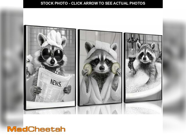 Lot 74-13663683 - 3Pcs Adorable Raccoon Bathroom Canvas Wall Art Funny Black and White Raccoon In Bathtub Wall Decor P...