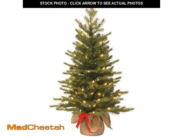 Lot 74-12044134 - National Tree Company Pre-Lit 'Feel Real' Artificial Mini Christmas Tree, Green, Nordic Spruce, Whit...