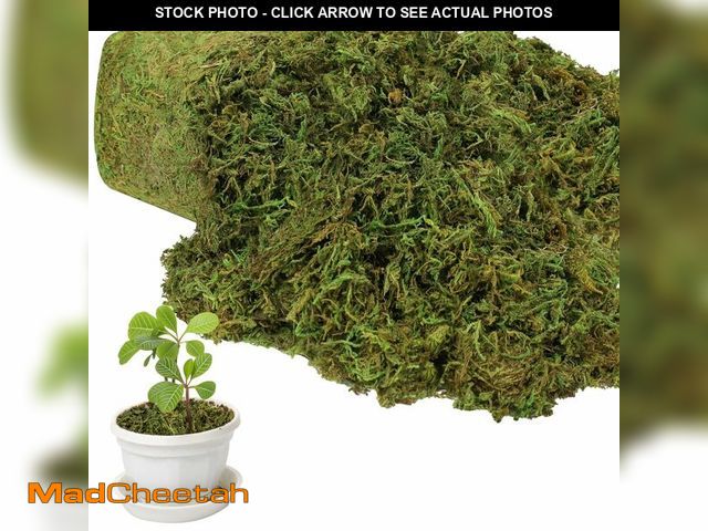 Lot 74-12707816 - YUNVI 17.6 OZ Large Capacity Artificial Moss for Potted Plants,Natural Fake Moss Grass for Plants In...
