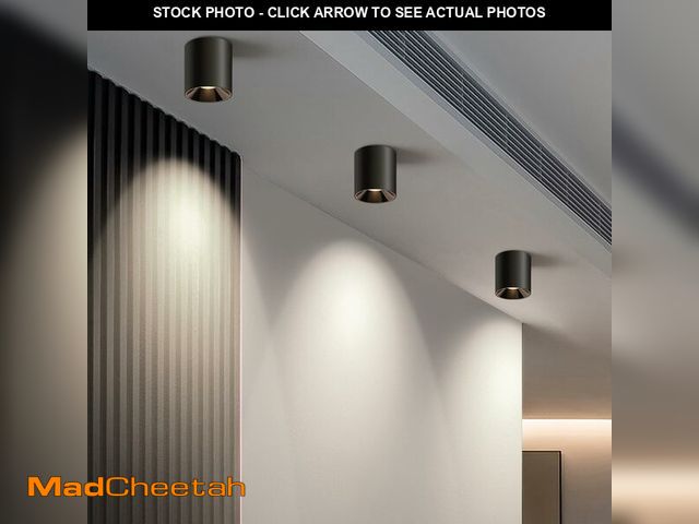 Lot 74-12714962 - Modern LED Ceiling Light Fixture Flush Mount COB 20W 4000K Cylinder Ceiling Lights, Dimmable Hallway...