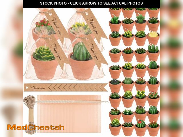 Lot 74-12503441 - MTLEE 36 Pcs Succulent Candles Decorative Cactus Tealight Candle Tea Lights Handmade Baby Shower Dec...