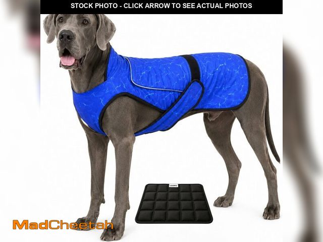 Lot 74-14149963 - LUCOLOVE Dog Cooling Vest with Ice Pack Ã¢â¬â 2-Layer Evaporative Cooling Jacket with High Collar...
