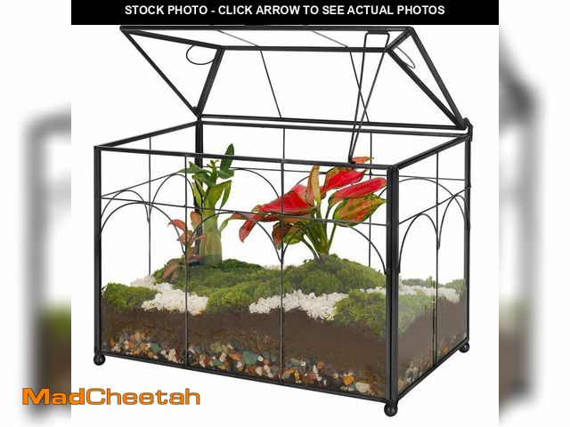 Lot 74-12606970 - REDHUGO Handmade Glass Planter Terrarium with Lid, Indoor Tabletop Centerpiece Display Box Modern De...