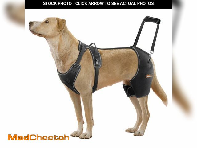 Lot 74-12699338 - CHAMIN Dog Hip Brace with Back Handheld Design, Support for Hip Dysplasia, Arthritis, Back Leg limpi...