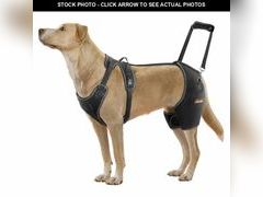 Lot 74-12699338 - undefined