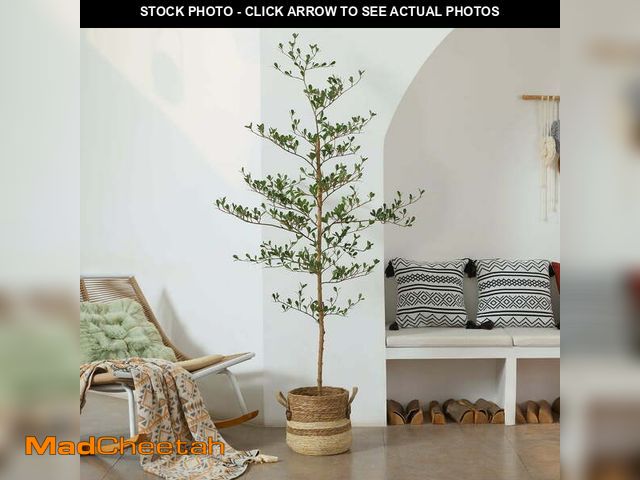 Lot 74-13774654 - DR.Planzen 6ft Faux Black Olive Tree - Realistic Potted Artificial Tree with Natural Trunk &amp; Sil...