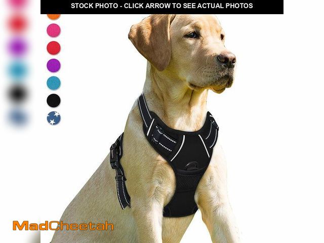 Lot 74-13947707 - BARKBAY No Pull Dog Harness Front Clip Heavy Duty Reflective Easy Control Handle for Large Dog Walki...