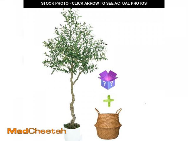 Lot 74-12154301 - Artificial Olive Tree, 6ft Indoor Large FakeTree with Handmade Woven Basket Faux Tree, Potted Olive ...