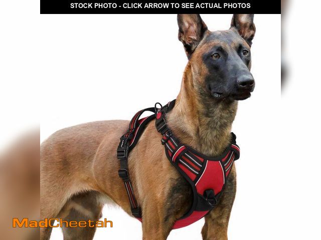 Lot 74-13573776 - rabbitgoo Dog Harness for Large, No Pull Pet Harness with 3 Buckles, Adjustable Soft Padded Vest wit...