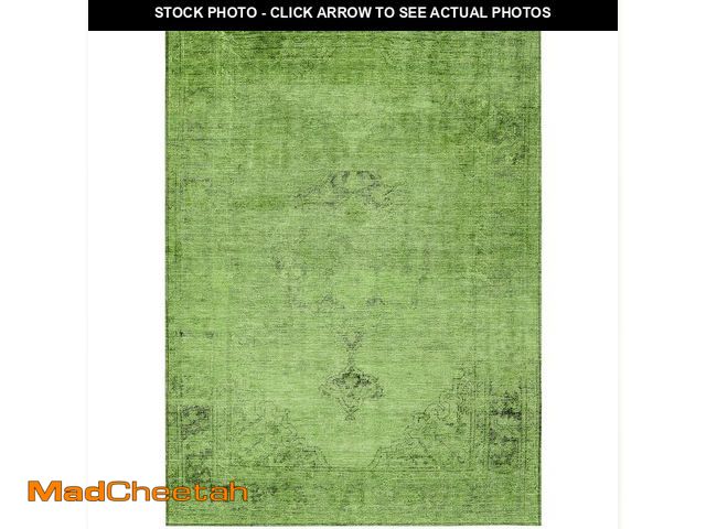 Lot 74-12759814 - Addison Rugs Chantille ACN658 Aloe 3' x 5' Indoor Outdoor Area Rug, Easy Clean, Machine Washable, No...