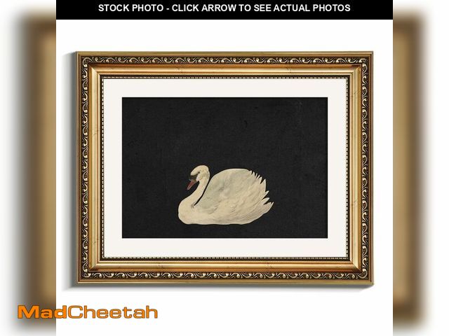 Lot 74-13576166 - VIYYIEA Gold Framed Wall Art Canvas Print Home Decor Vintage Swan Decoration Grace Swan Art Painting...
