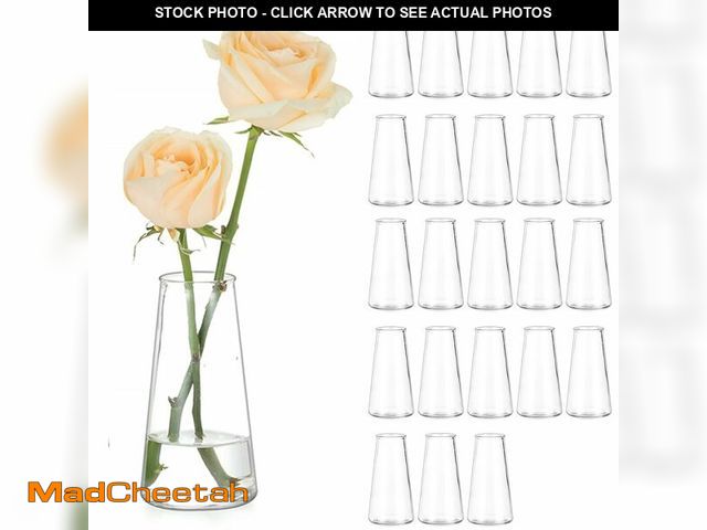 Lot 74-14148331 - Hewory Glass Bud Vases for Centerpieces: Small Clear Modern Flower Vase Set of 24, Minimalist Cute M...