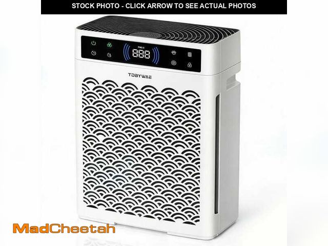 Lot 74-14254460 - Edendirect 2250 sq. ft. HEPA Personal Air Purifier in White, with 5-Level Speed, PM2. 5 Real-time Di...