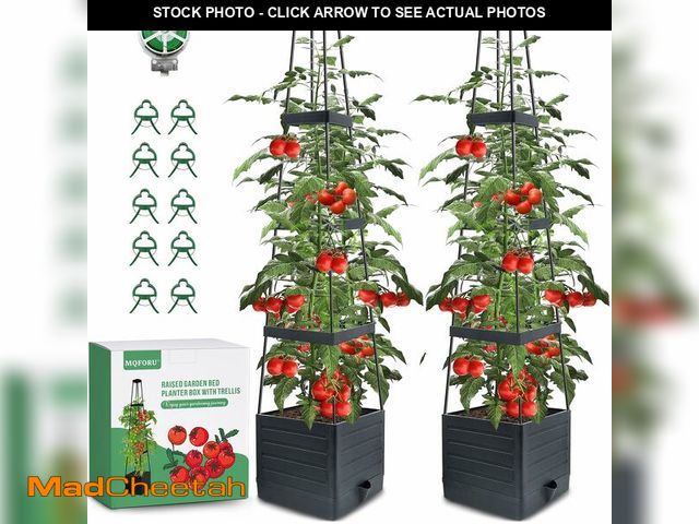 Lot 74-13769586 - MQFORU 2 Packs Raised Garden Bed Tomato Planter with Trellis, 57" Tomato Cages for Climbing Vegetabl...