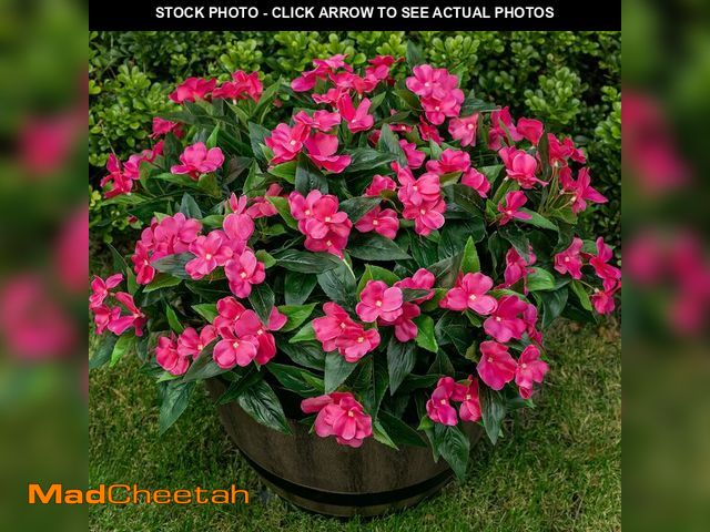 Lot 74-14211844 - Nigirior Artificial Fake Flowers for Outdoor DÃÂ©cor 6 Bundles UV Resistant Fake Plants for Planter...