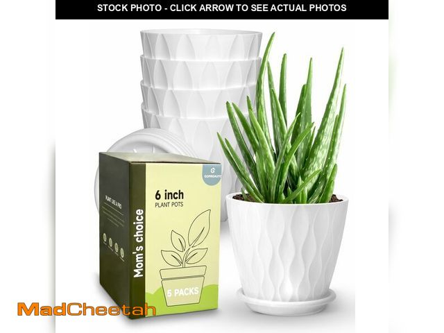 Lot 74-12712428 - Goproauto 6 Inch Indoor Planter Pots with Drainage Hole and Tray Saucer,Flower Pots for Indoor Outdo...