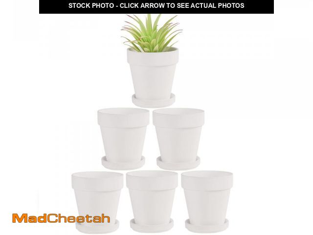 Lot 74-11849405 - Fcacti 4 Inches Small White Terracotta Pots with Saucer, 6 Pack 4" Terra Cotta Planter with Drainage...