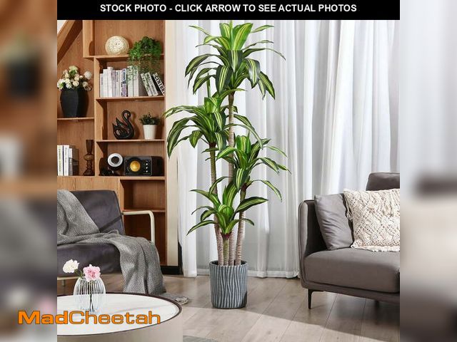 Lot 74-12779412 - Artificial Plants, 6ft Fake Dracaena Tree in Black Plastic Pot, Faux Plants Indoor Outdoor Decor, Si...