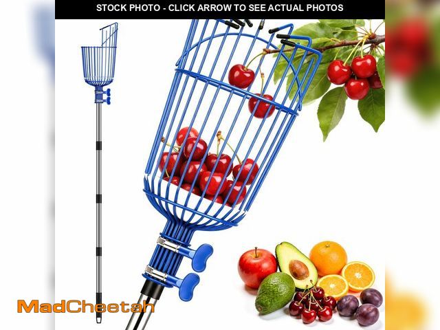 Lot 74-14380822 - Ginbel Direct Fruit Picker Pole with Basket, Adjustable Fruit Tool for Apple Avocado Cherry Citrus L...
