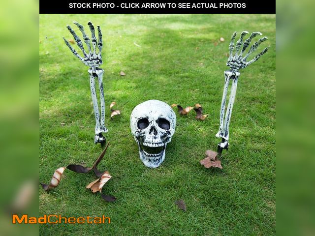 Lot 74-12718363 - UrBstly Halloween Skeleton Stakes, 3 PCS Realistic Skeleton with Red Scarf, Spooky Life Size Skeleto...
