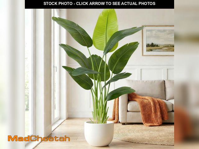 Lot 74-13776473 - Keeplush 5FT Bird of Paradise Artificial Plant - Tall Fake Silk Tree with 10 Stems, Realistic Large ...