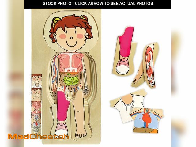Lot 74-13716458 - Kidzlane 29 Piece Wooden Puzzle for Toddlers and Kids - Boy Anatomy Puzzle Play Set - Layered Human ...