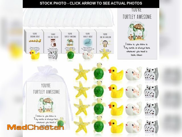 Lot 74-12700905 - Fumete 50 Set Christmas Employee Appreciation Gift Bulk for Coworkers Thank You Staff Funny Rad Tech...