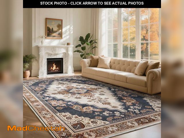 Lot 74-12832974 - EASOGER 8'x10' Area Rugs for Living Room and Bedroom,Washable Large Rugs - with Sewing Anti slip Sti...
